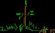 arbol1.gif