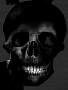 calavera1.jpg