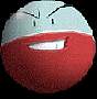 electrodenegre.gif