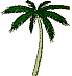 palmera.gif
