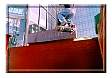 skate4.jpg