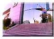 skate5.jpg