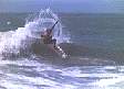 surf1.gif