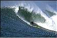 surf6.gif