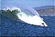 surf8.gif